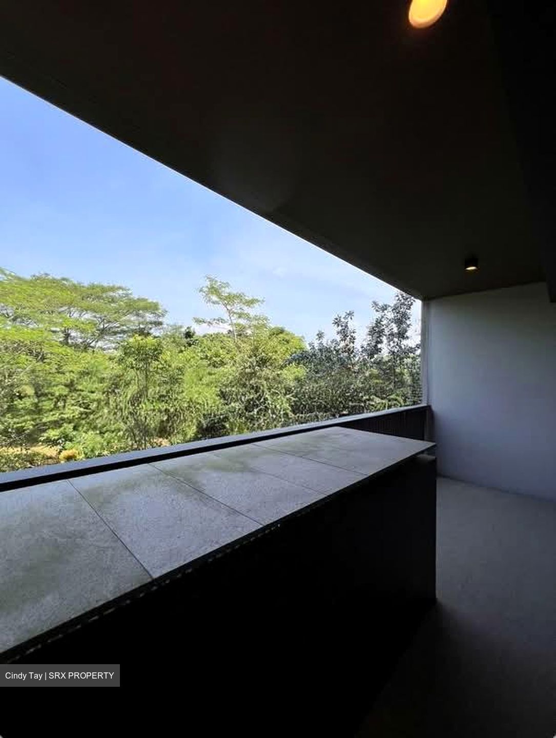 Kandis Residence (D27), Condominium #548902001